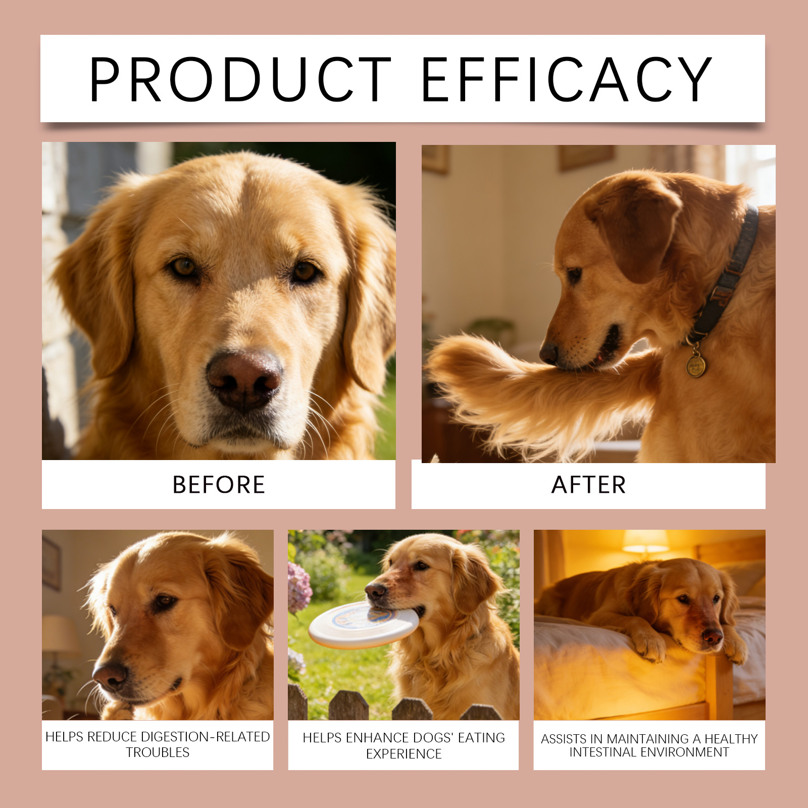 Product detail