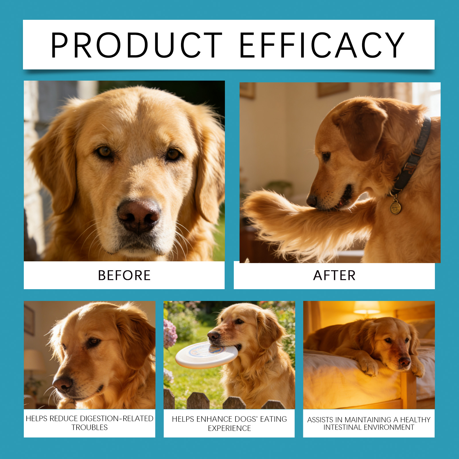 Product detail