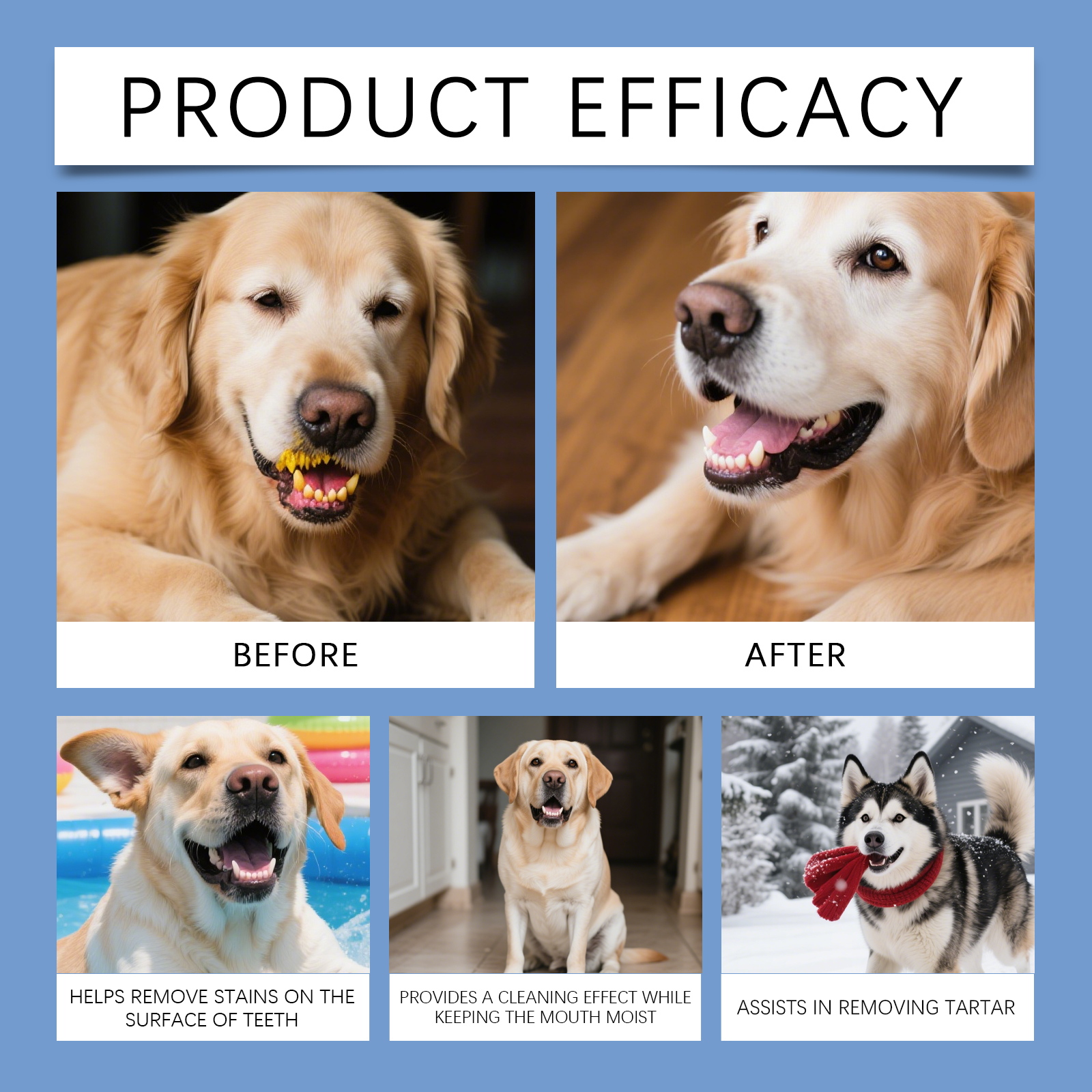 Product detail