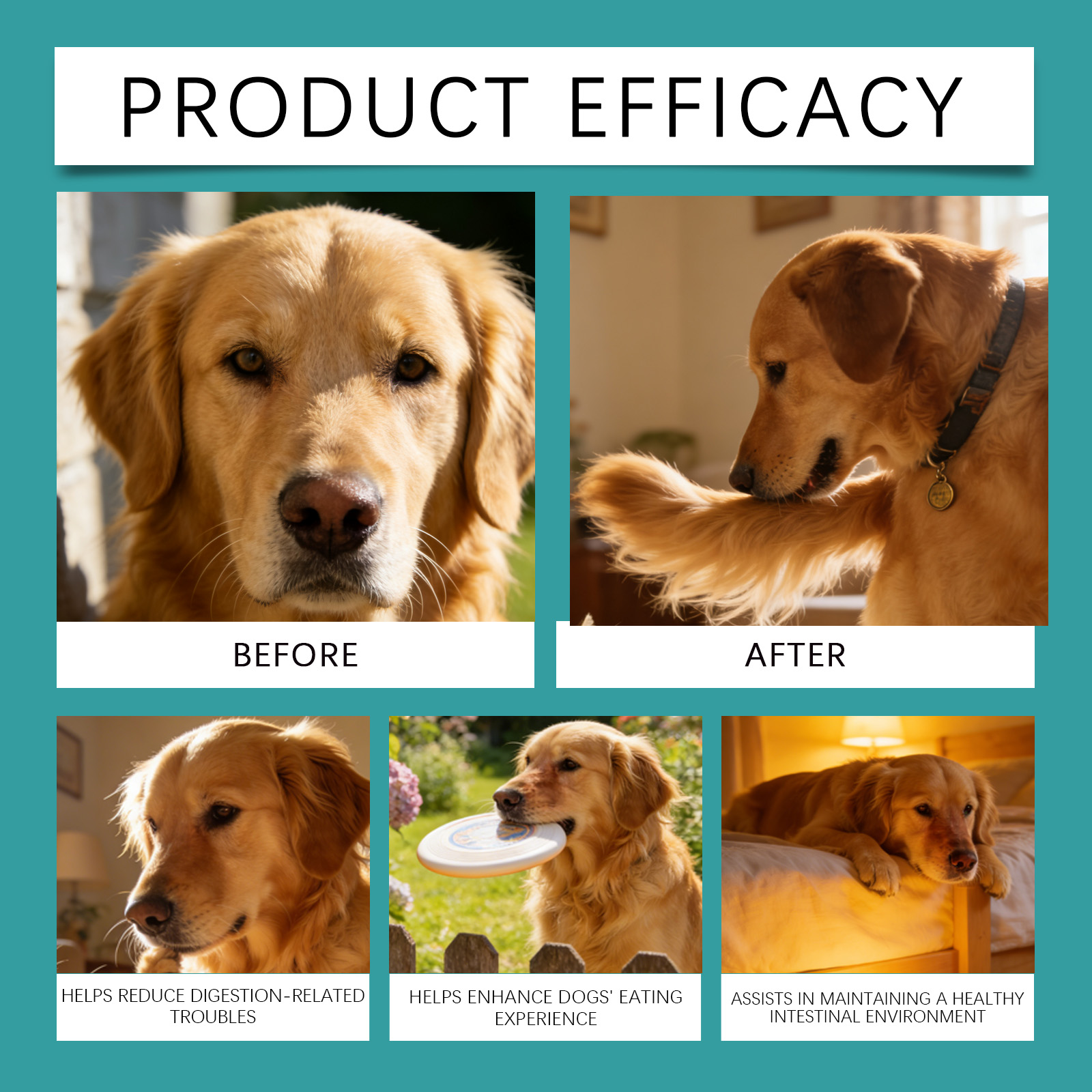 Product detail