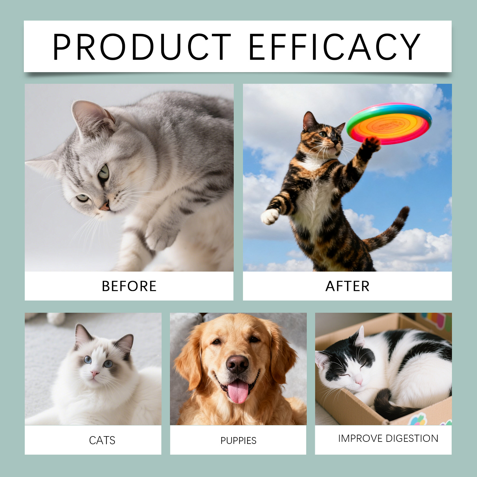 Product detail
