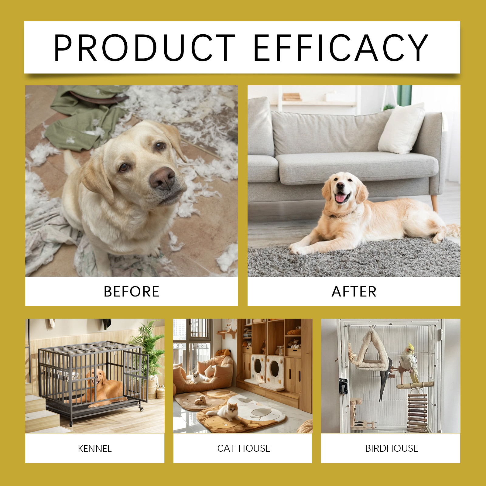 Product detail