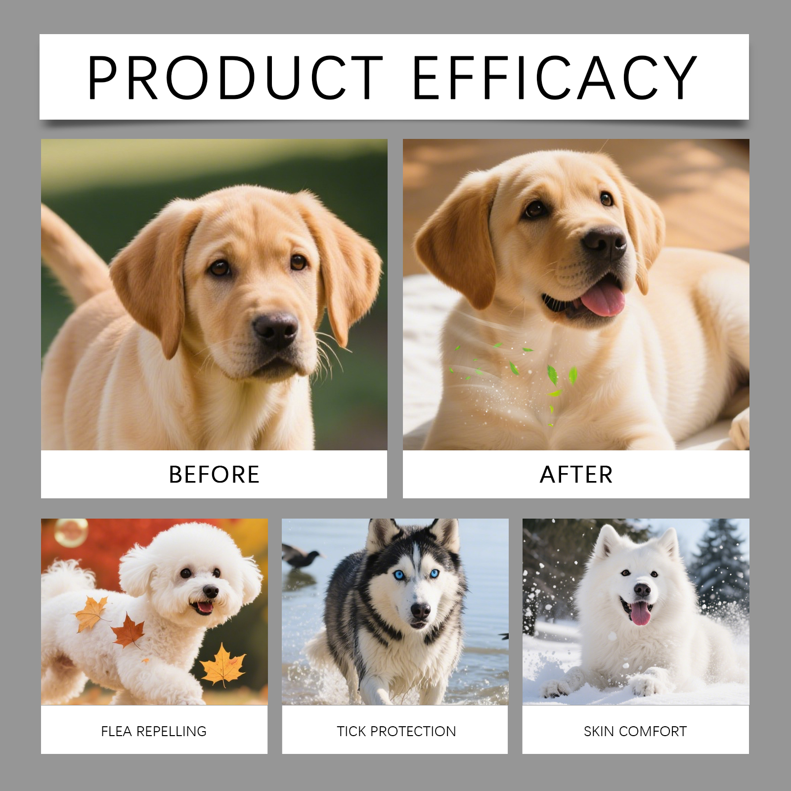 Product detail