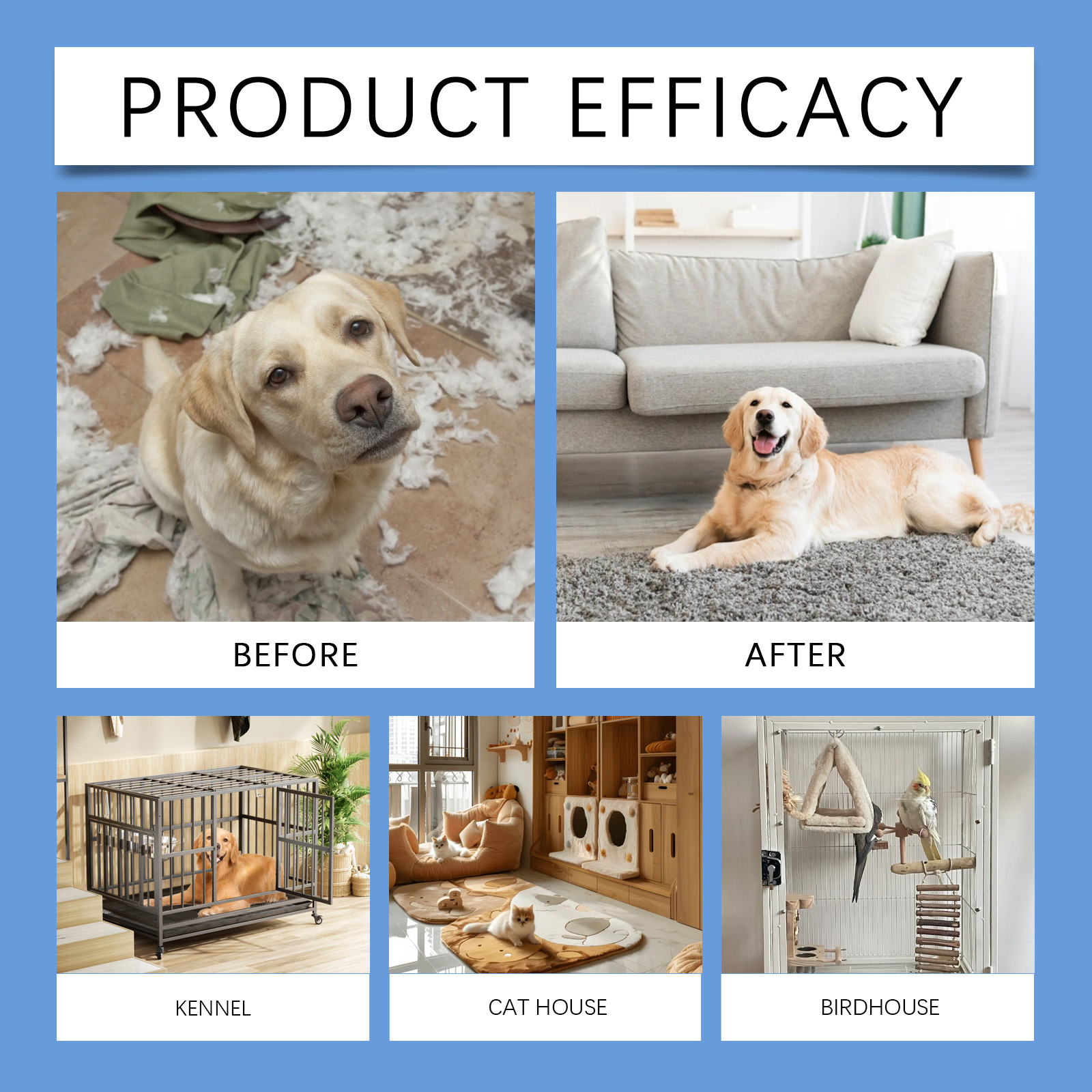 Product detail