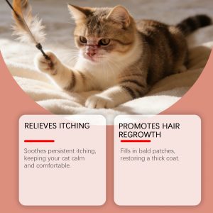 Kriath Cleaning & Grooming Care 120ml Daily Hygiene Support