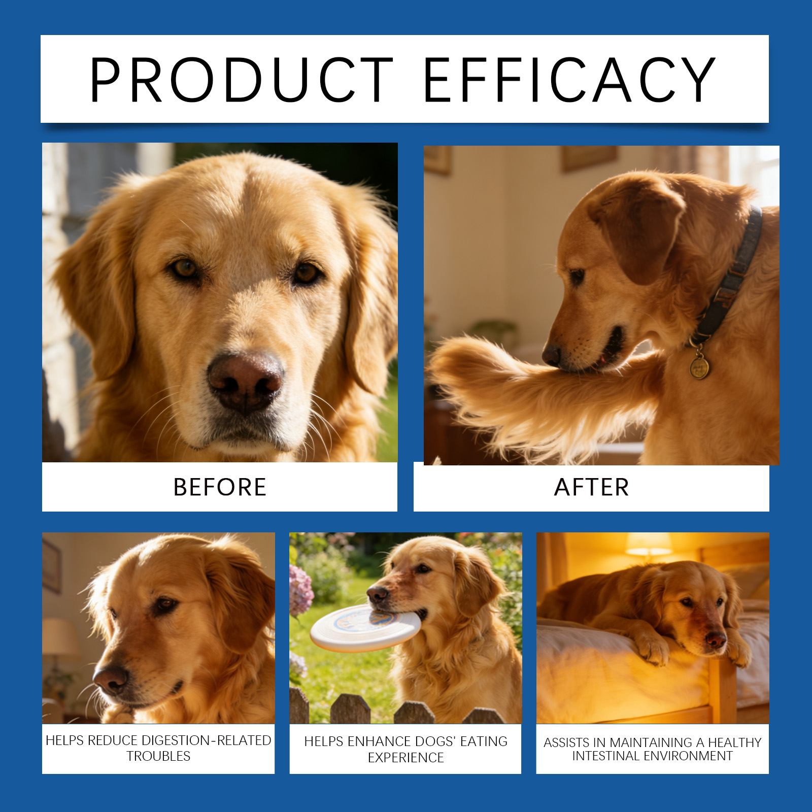 Product detail