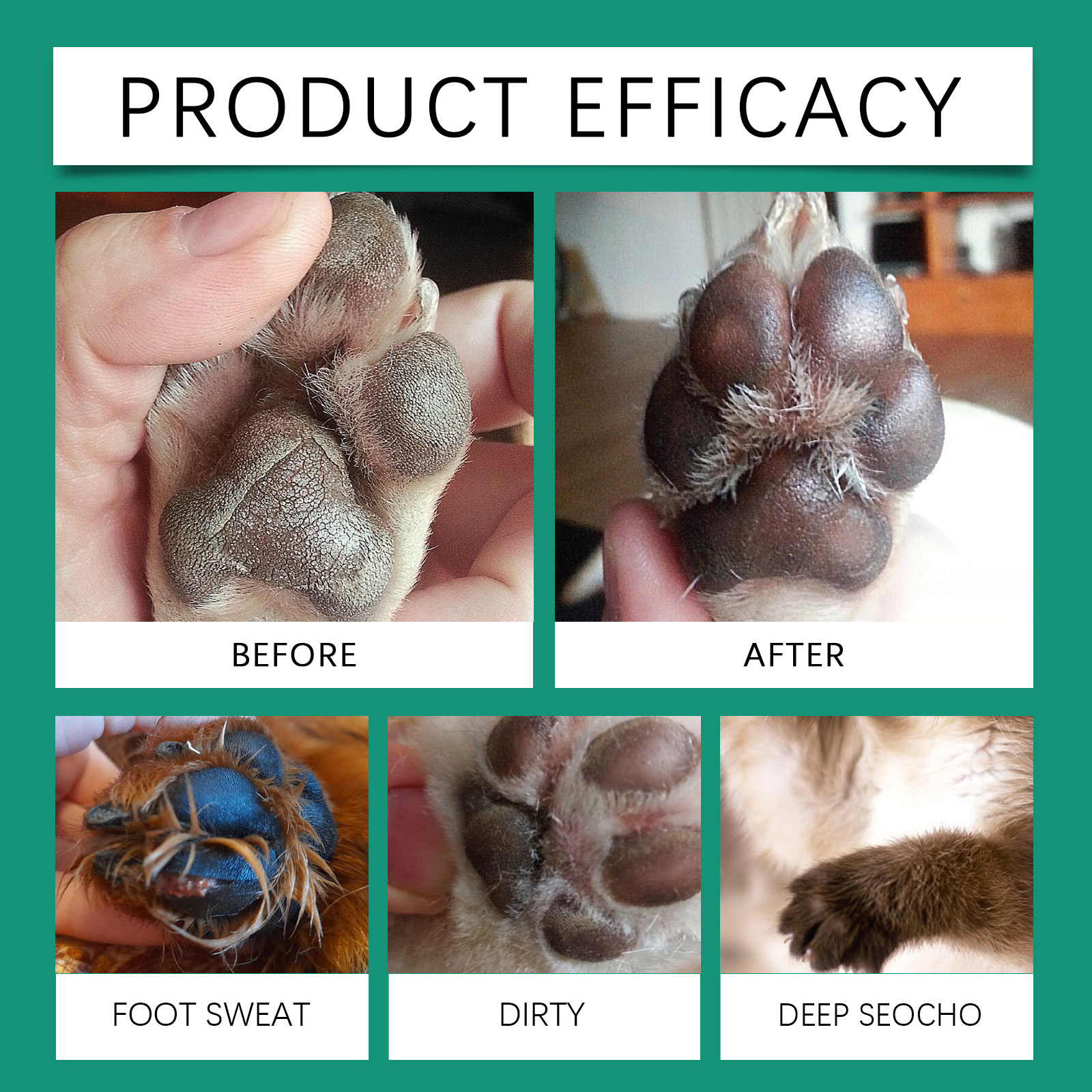 Product detail