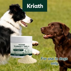 Kriath Nutritional Supplement 120ml Daily Wellness Support
