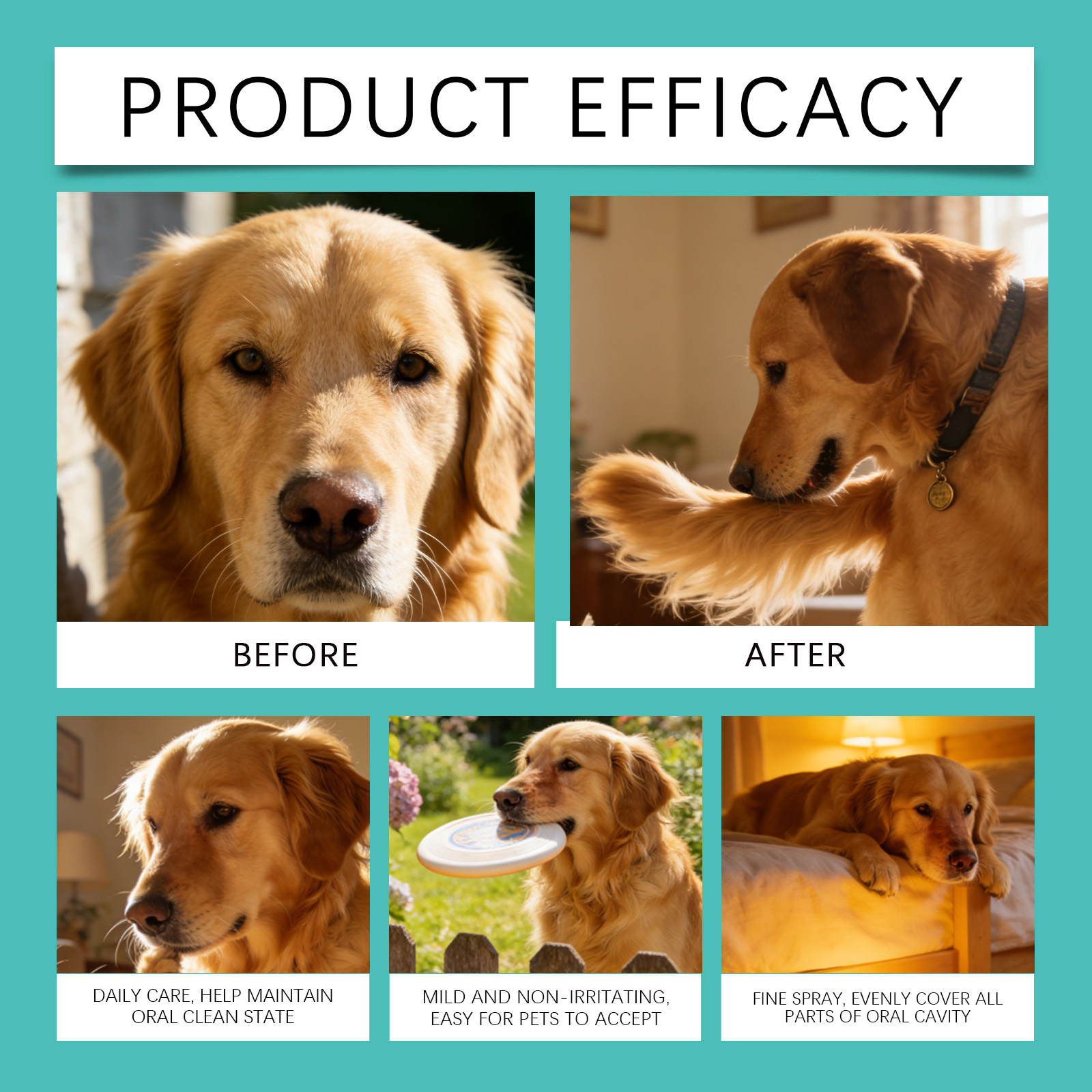 Product detail