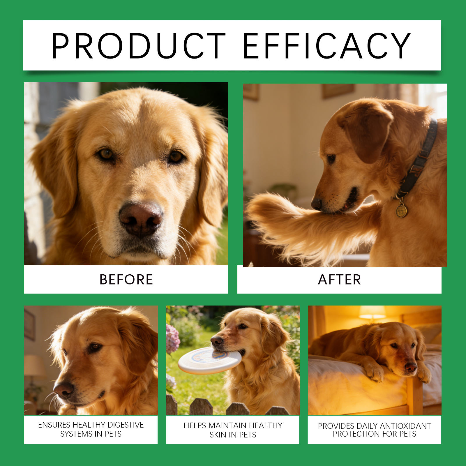 Product detail