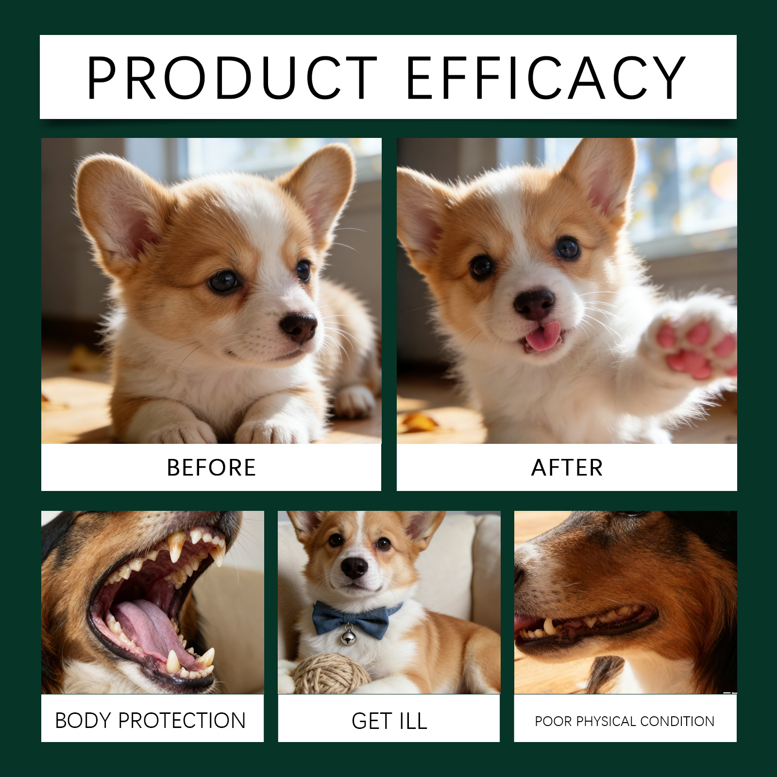 Product detail