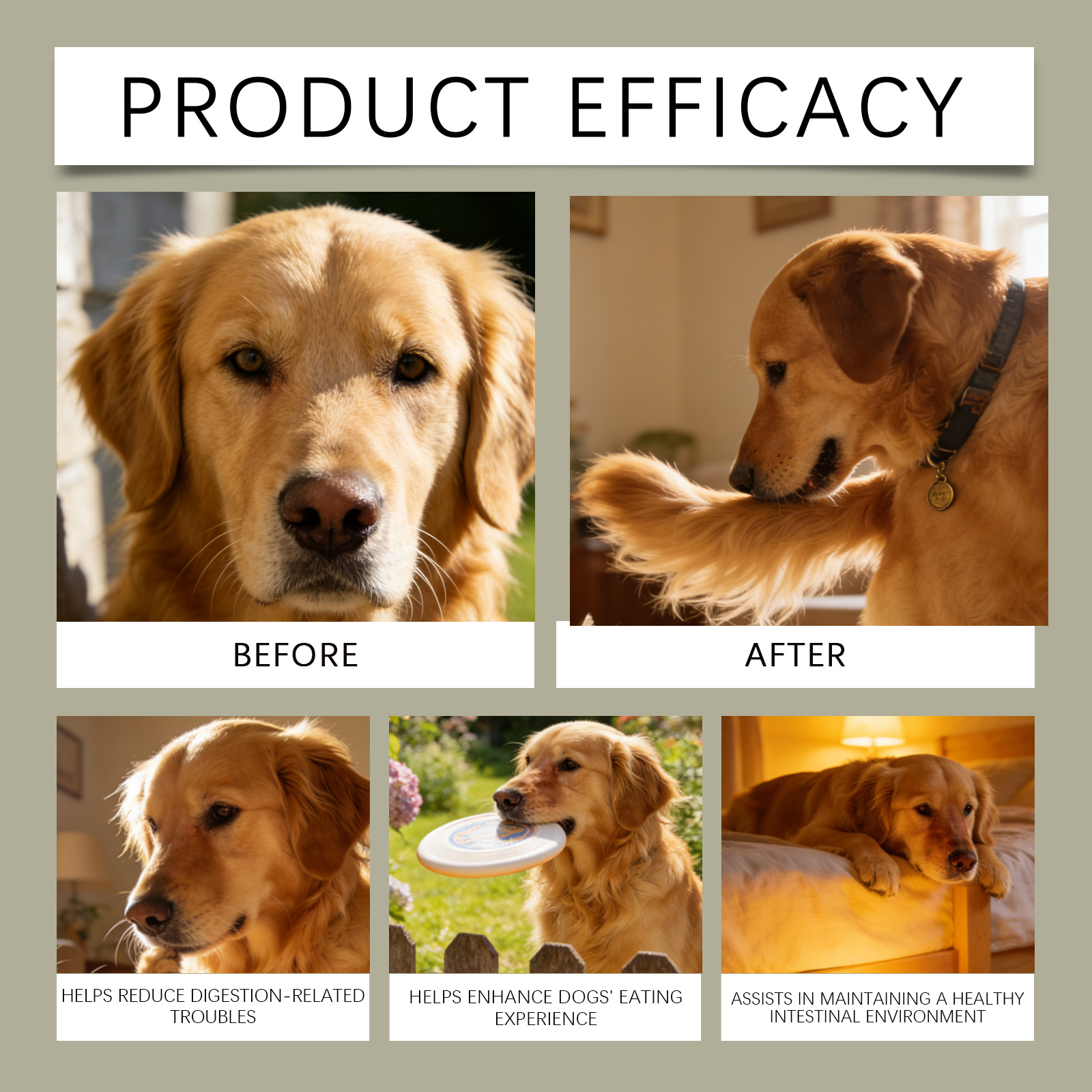 Product detail