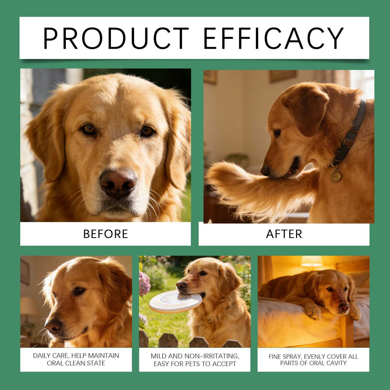 Product detail