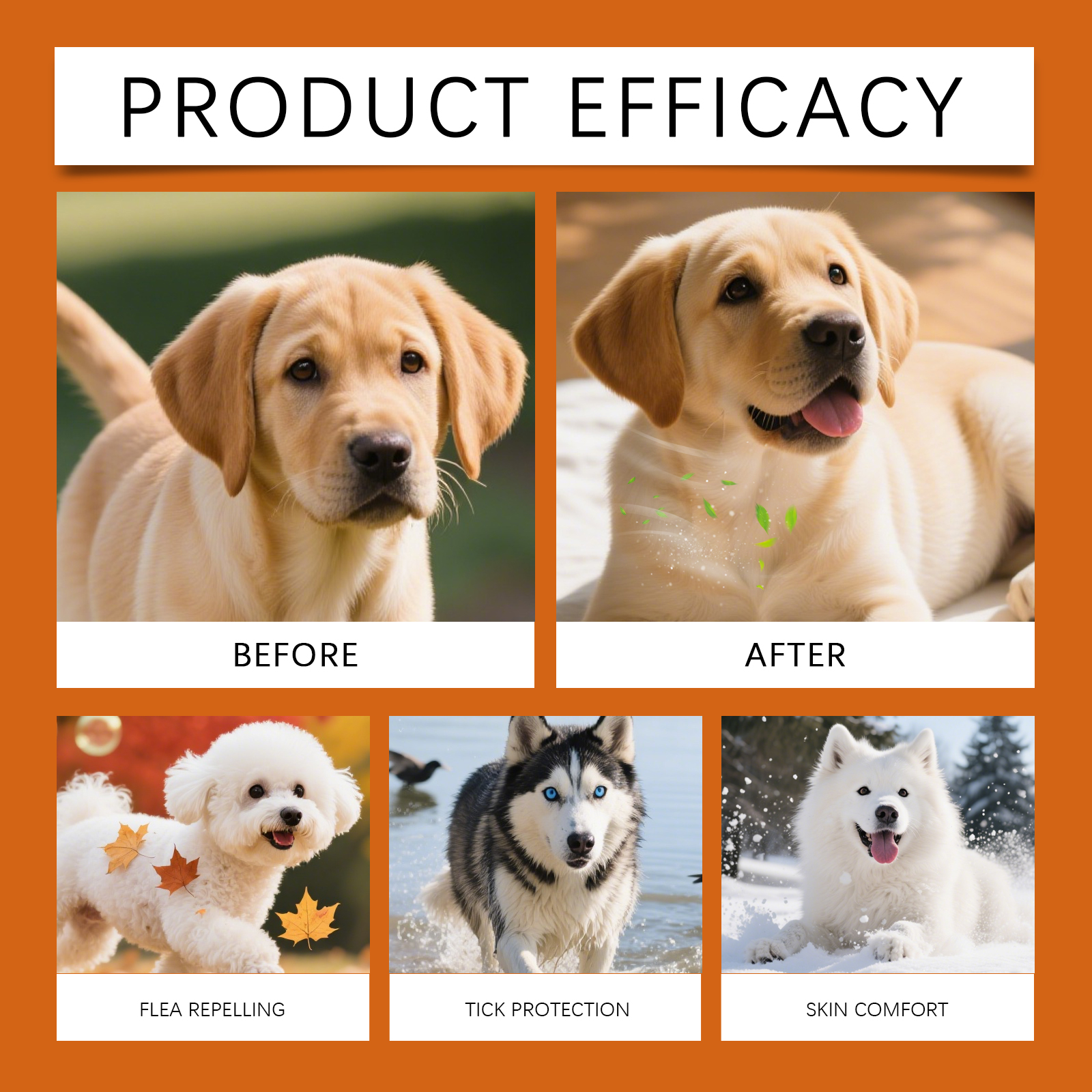 Product detail