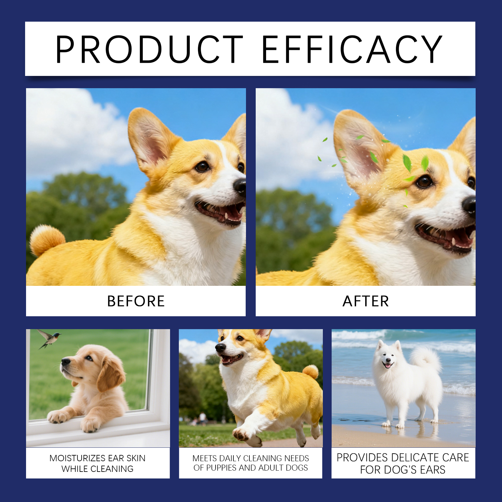Product detail