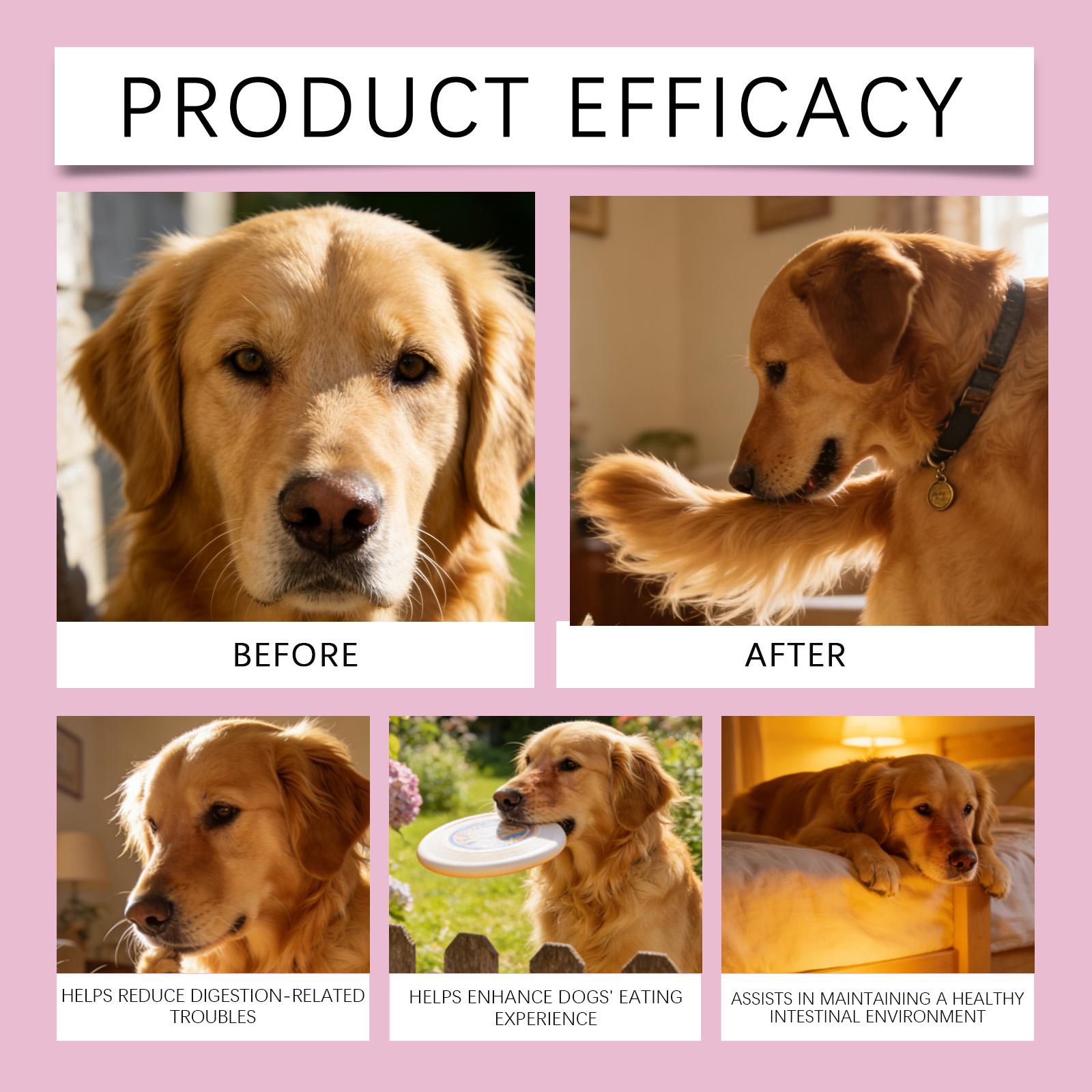 Product detail