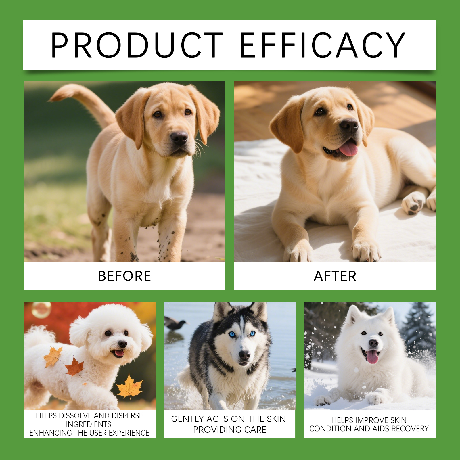 Product detail