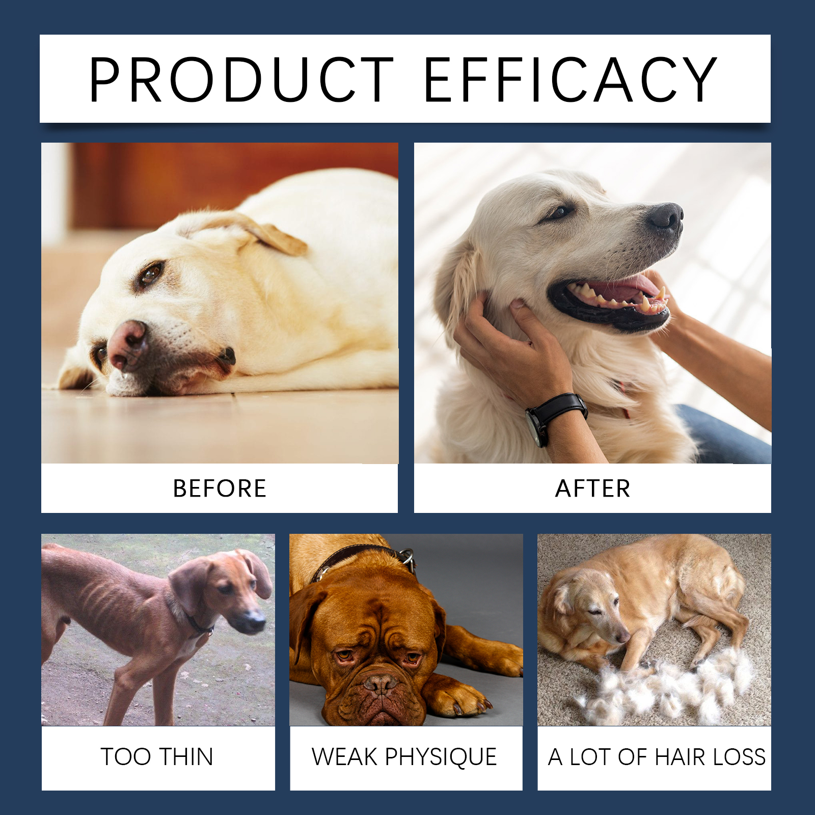 Product detail