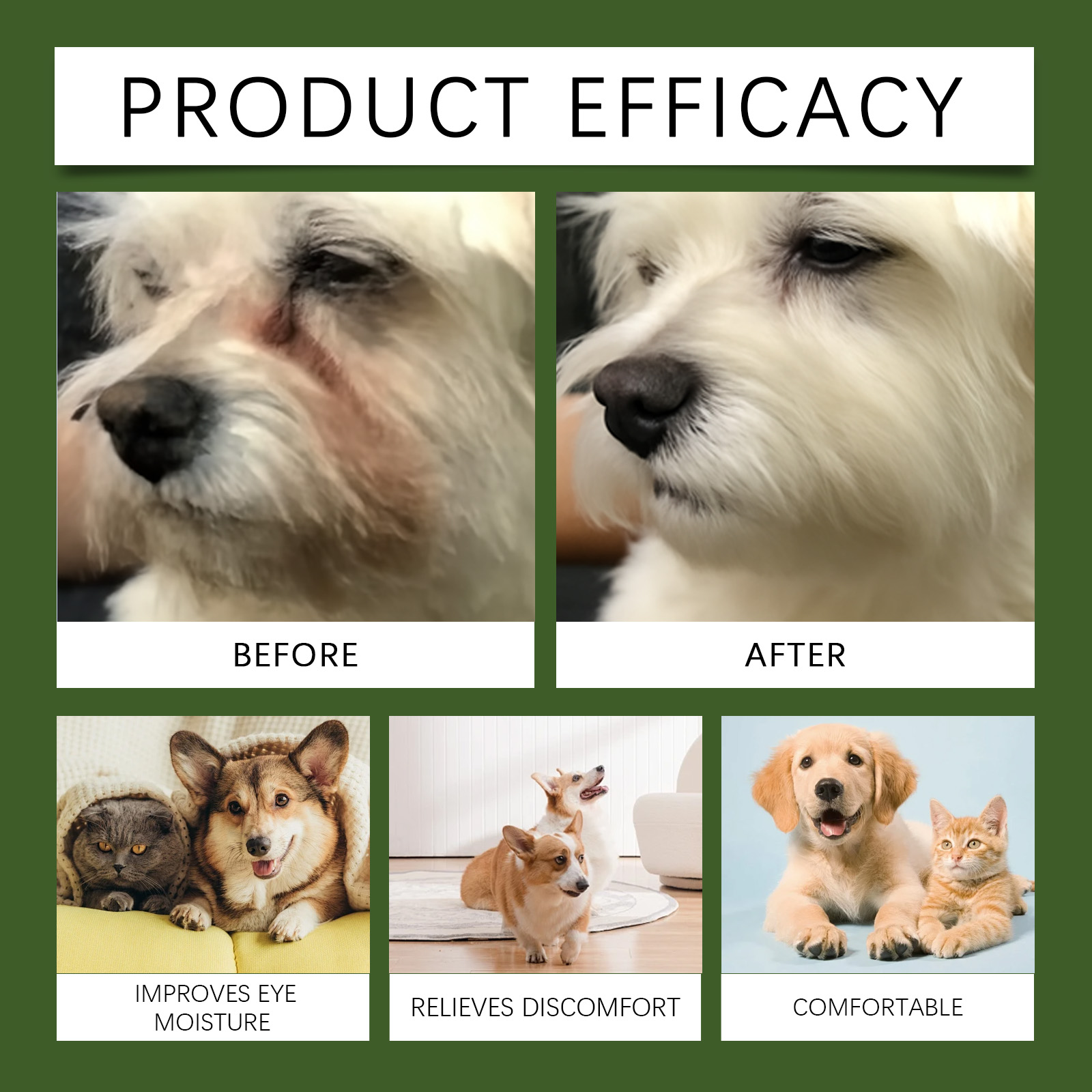 EelJoy Tear Stain Remover 120ml Tear Stain and Eye Comfort Daily Eye Care for Dogs and Cats - SKU00000966 - Image 4