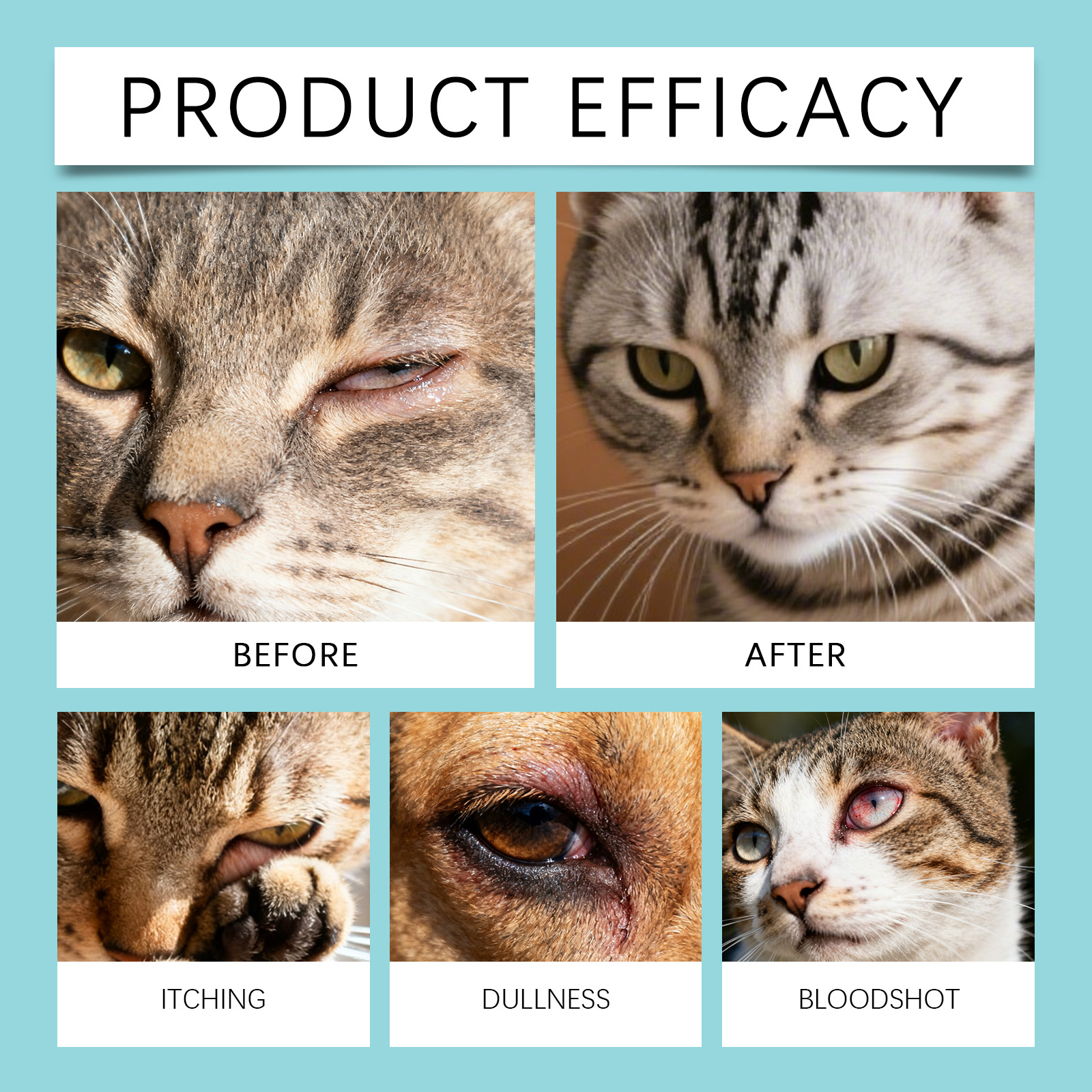 EelJoy Tear Stain Remover 120ml Tear Stain and Eye Comfort Daily Eye Care for Dogs and Cats - SKU00000953 - Image 4