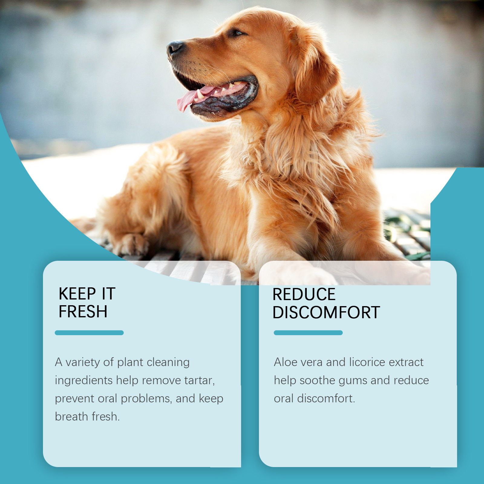 Yegbong Dental Gel 120ml Dental Care Support for Dogs and Cats - SKU00020545 - Image 2