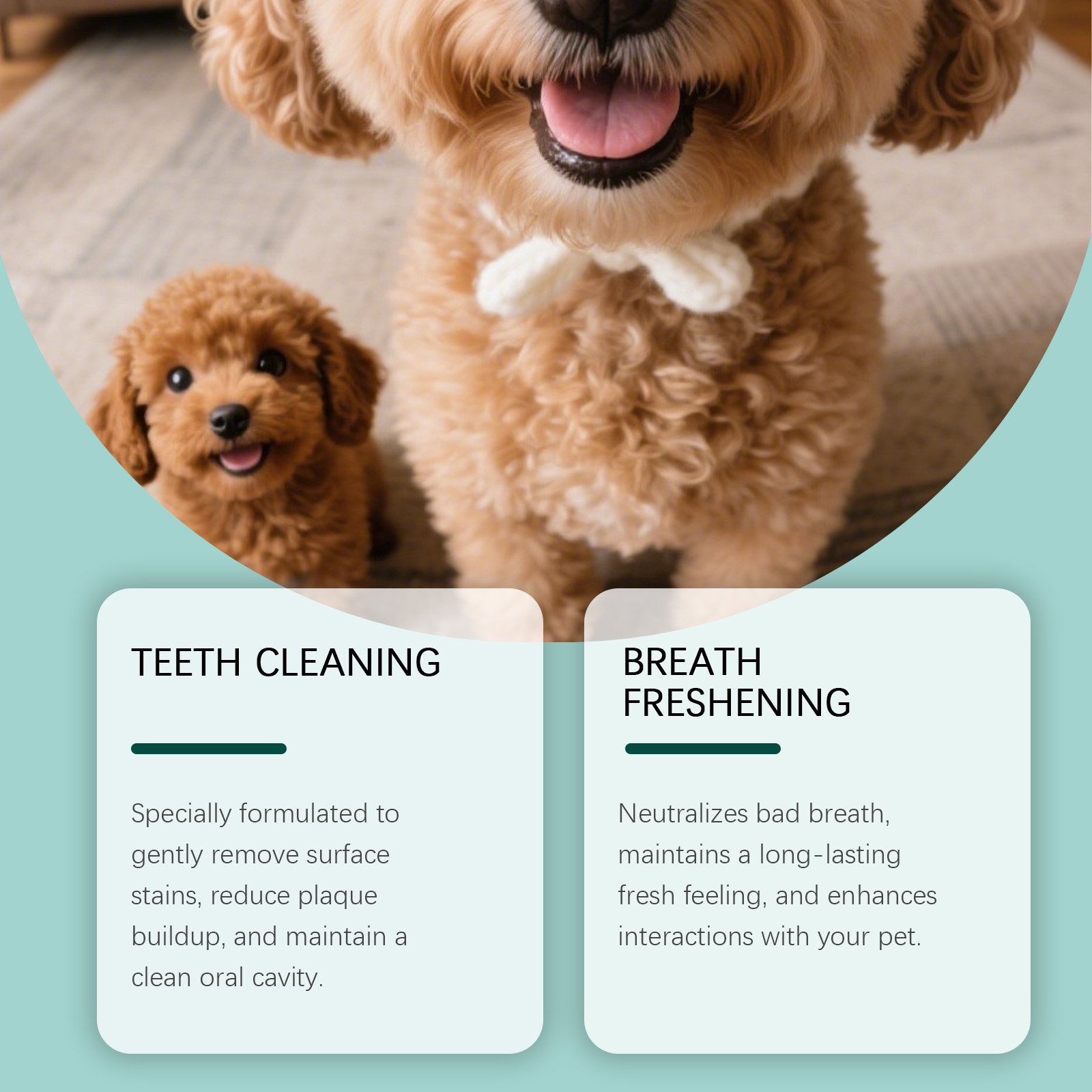 CKCU Pet Finger Toothbrush 60pcs Dental Plaque Cleaning Oral Care Tool for Dogs and Cats - SKU00039411 - Image 3