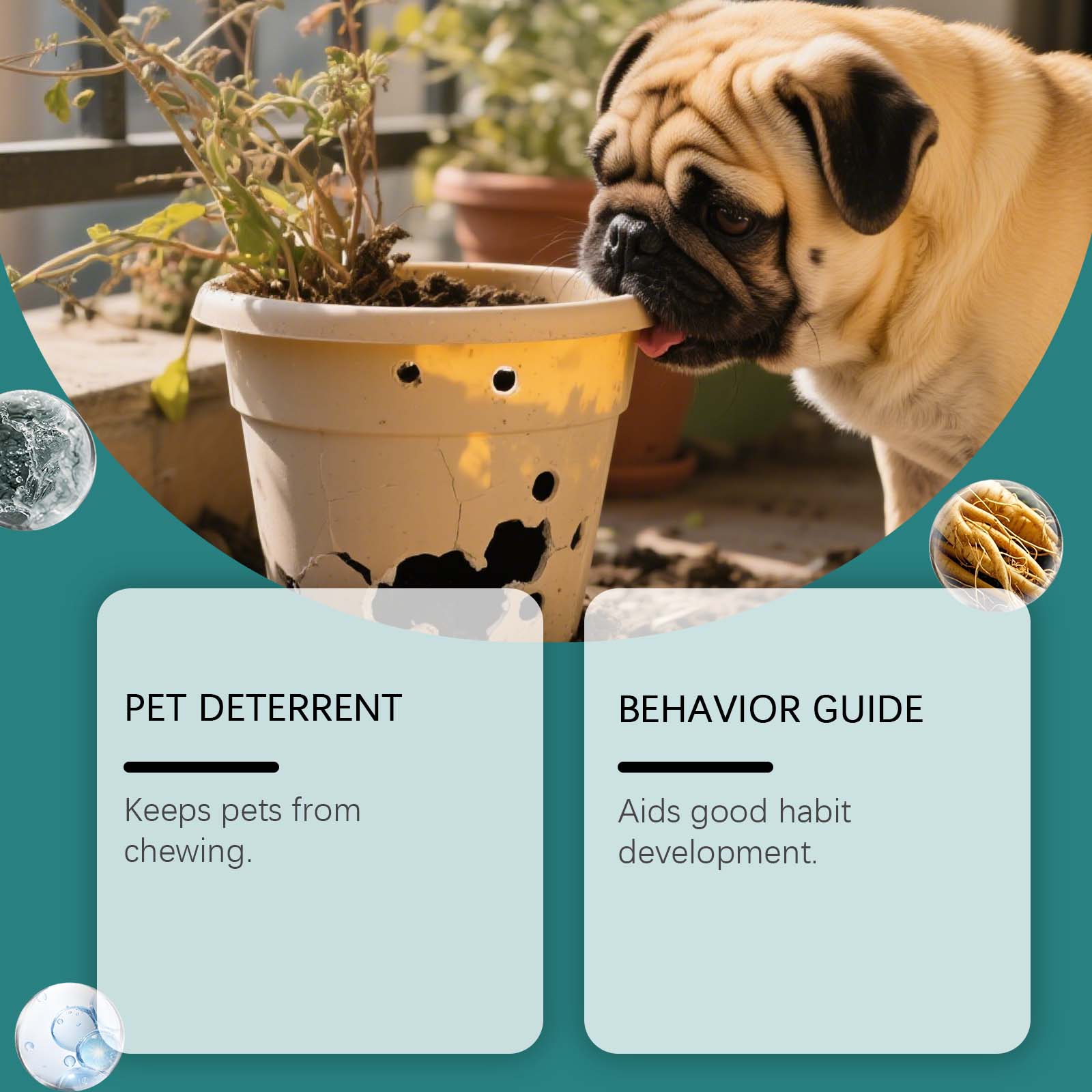 Yegbong Anti-Chew Bitter Spray 120ml Bitter No-Chew Training Furniture and Wound Protection for Dogs and Cats - SKU00002066 - Image 4