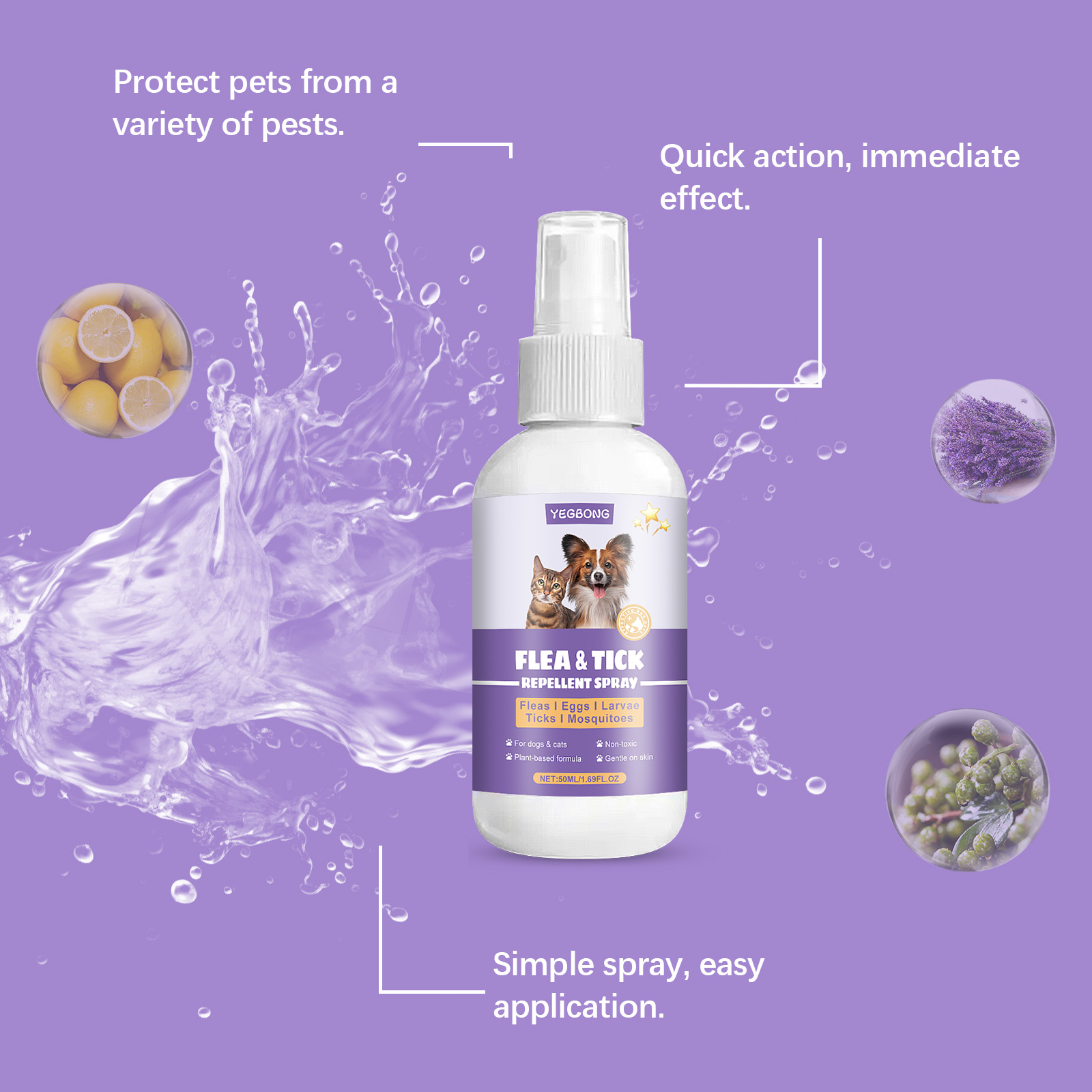 Product detail