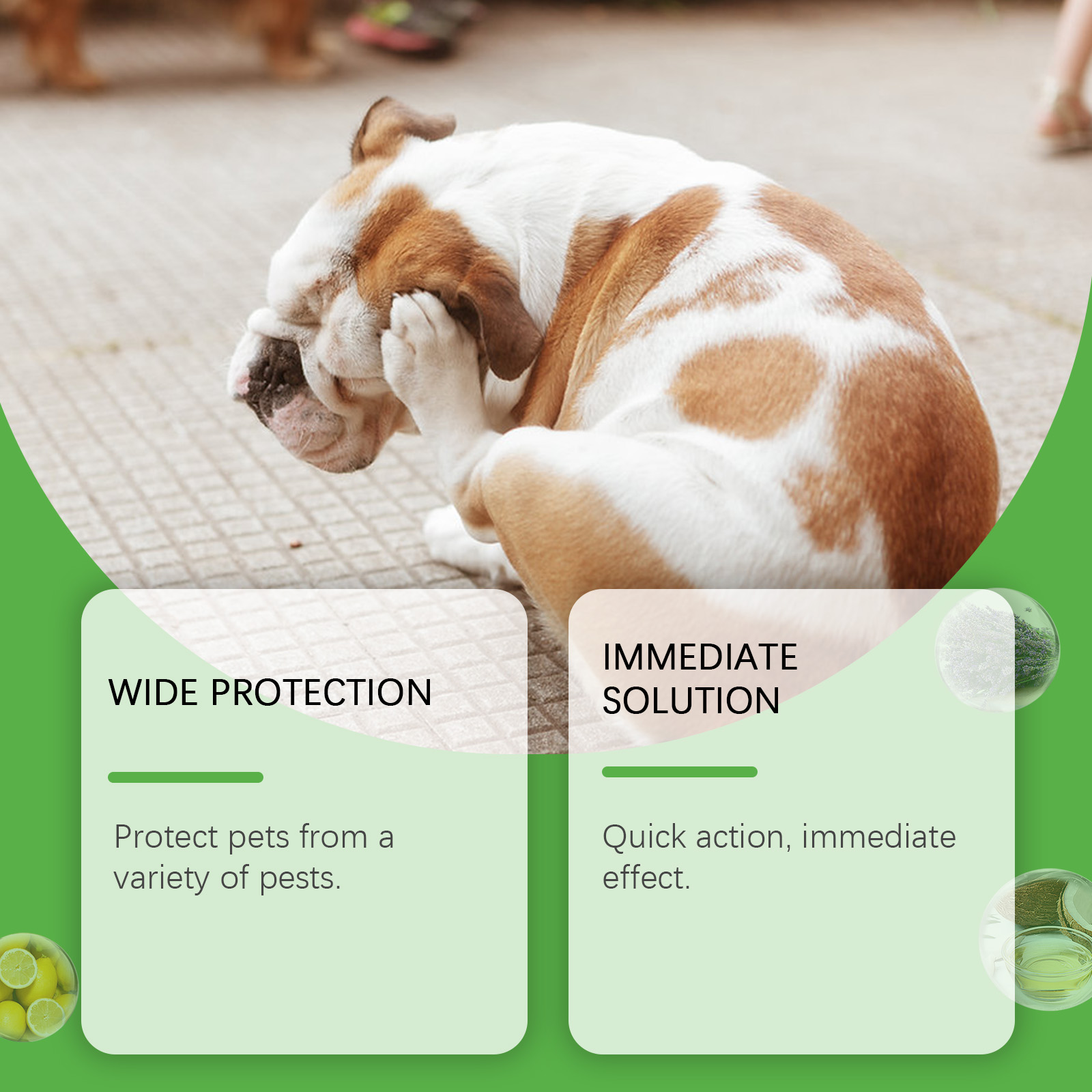 Yegbong Flea & Tick Spray 120ml Flea & Tick Defense Daily Pet Care for Dogs & Cats - SKU00028324 - Image 3