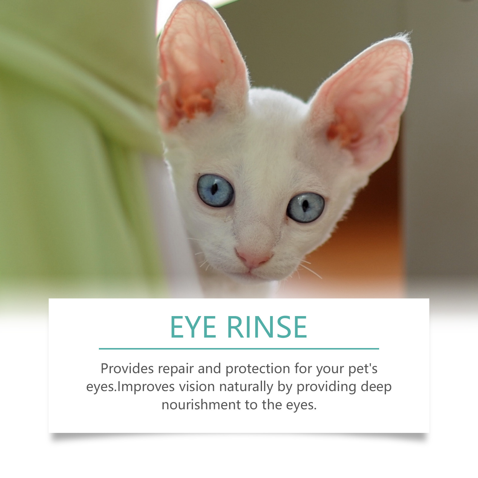 Yegbong Eye Drops 120ml Tear Stain & Eye Comfort Daily Eye Care for Dogs & Cats - SKU00030432 - Image 3