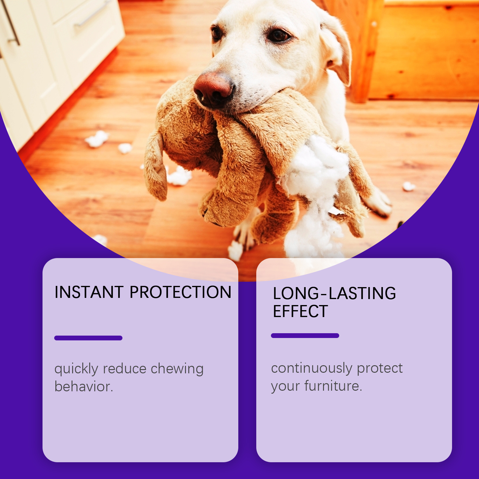 EelJoy Anti-Chew Bitter Spray 120ml Behavior Training Support Daily Pet Care for Dogs & Cats - SKU00032806 - Image 3