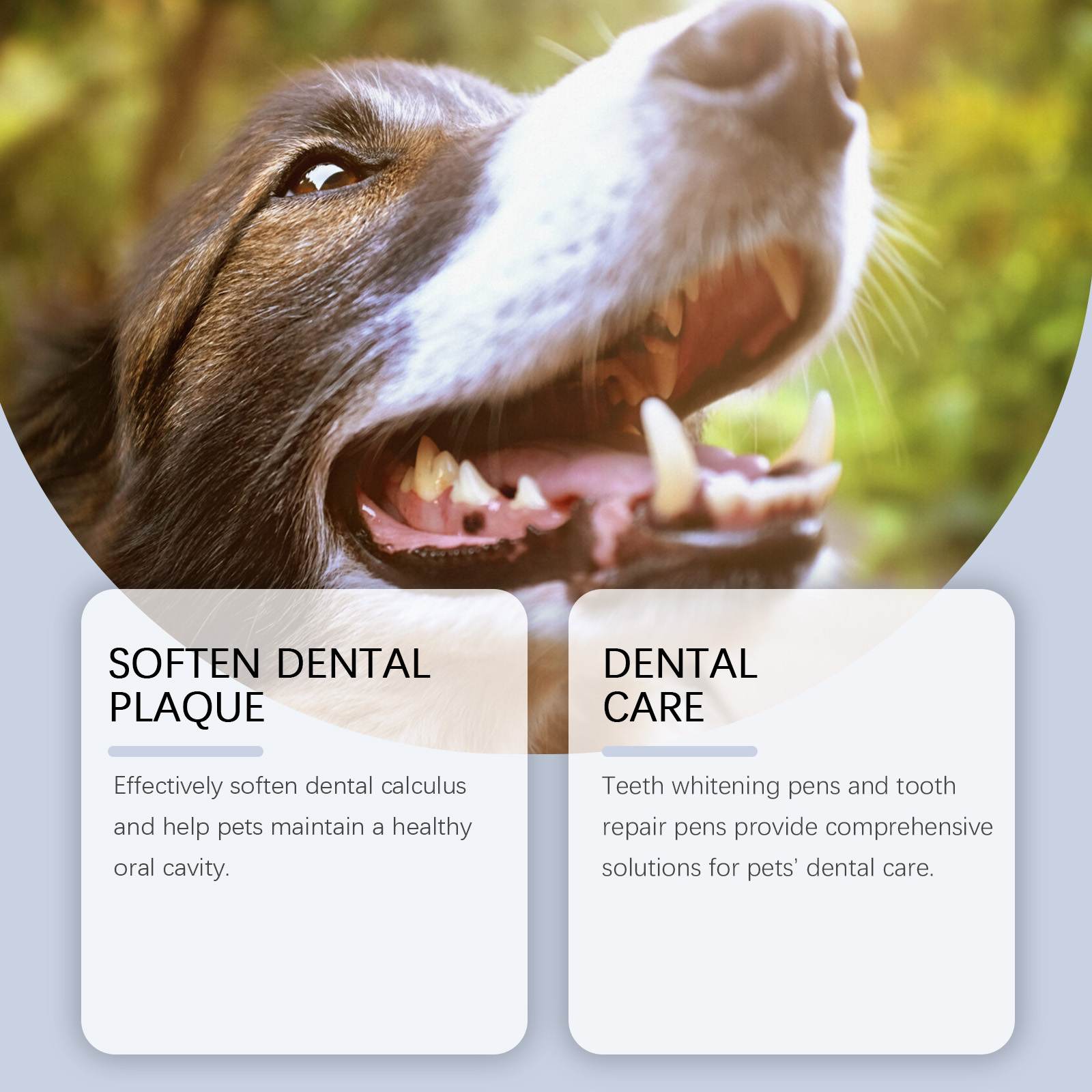 Yegbong Oral Repair Gel 120ml Dental Care Support for Dogs and Cats - SKU00015600 - Image 3