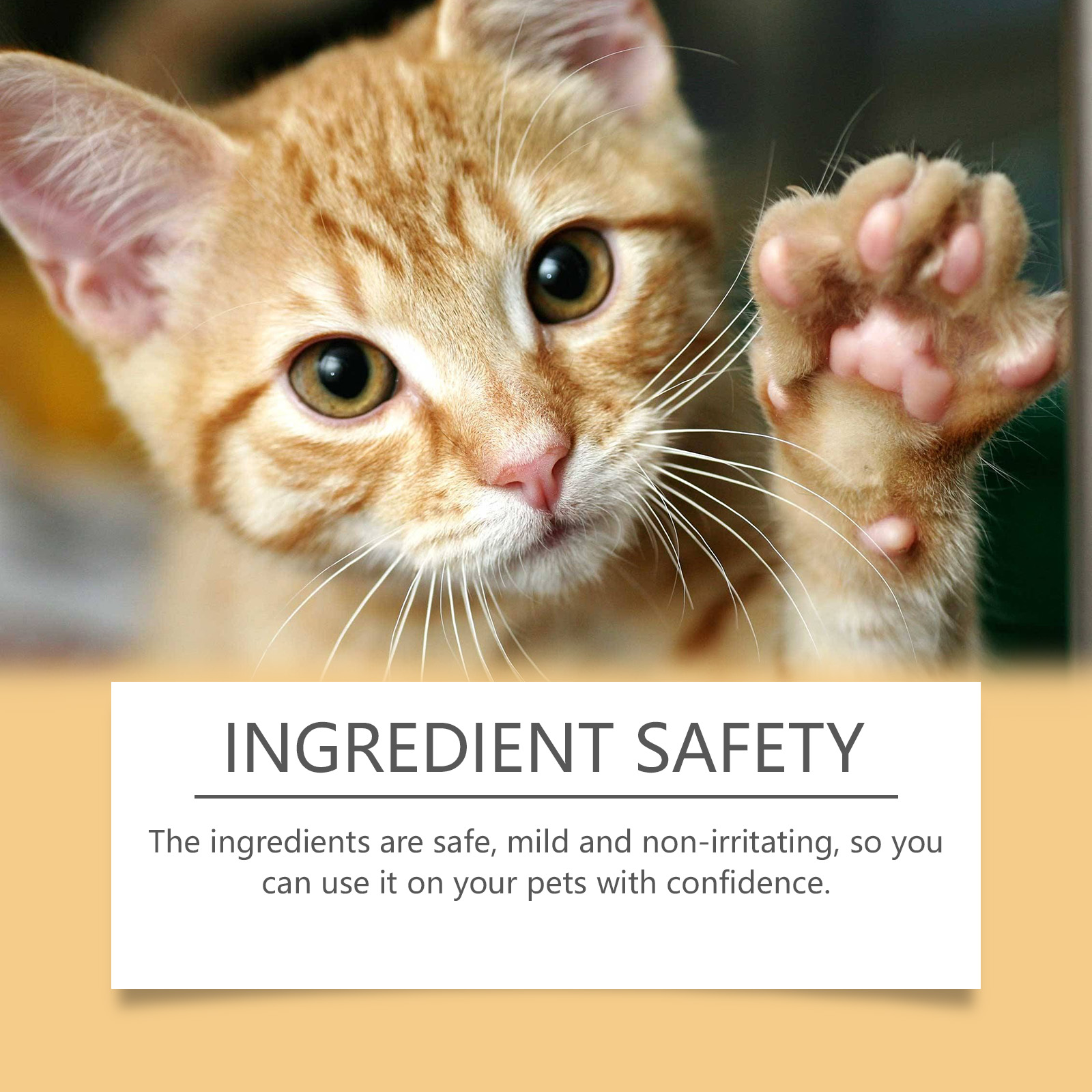 Yegbong Paw Balm 120ml Moisturizing Support for Dogs and Cats - SKU00014597 - Image 3
