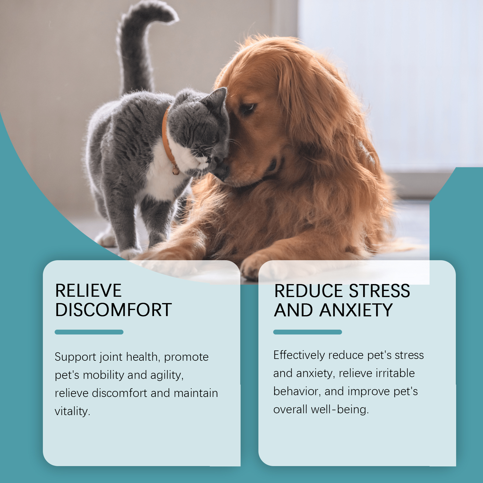 Yegbong Dietary Supplement 120ml Daily Wellness Support for Dogs and Cats - SKU00017520 - Image 3
