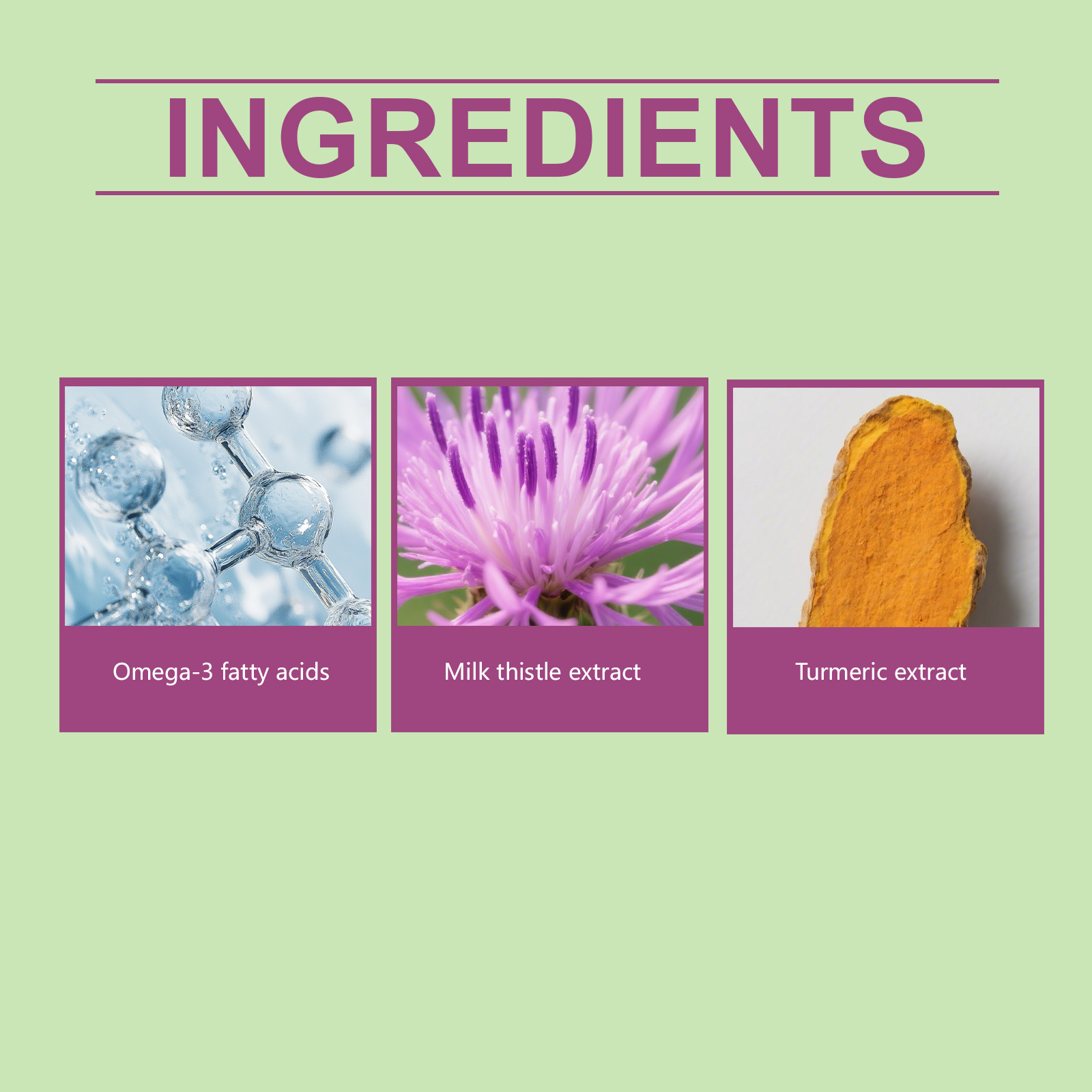 Kriath Milk Thistle Drops 60ml Liver and Immune Support for Dogs - SKU00040469 - Image 4