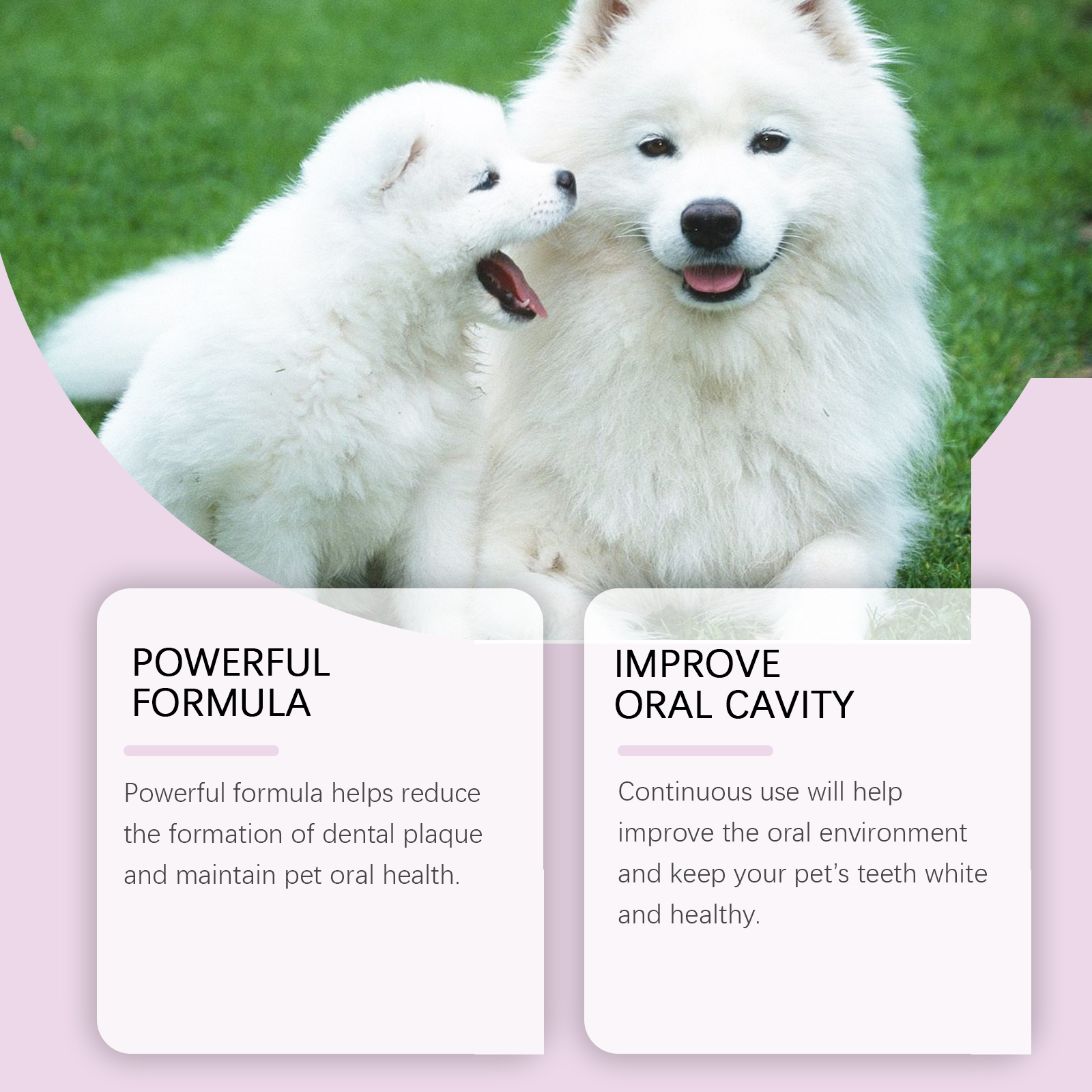 Yegbong Oral Spray 120ml Dental Care Support for Dogs and Cats - SKU00017829 - Image 4