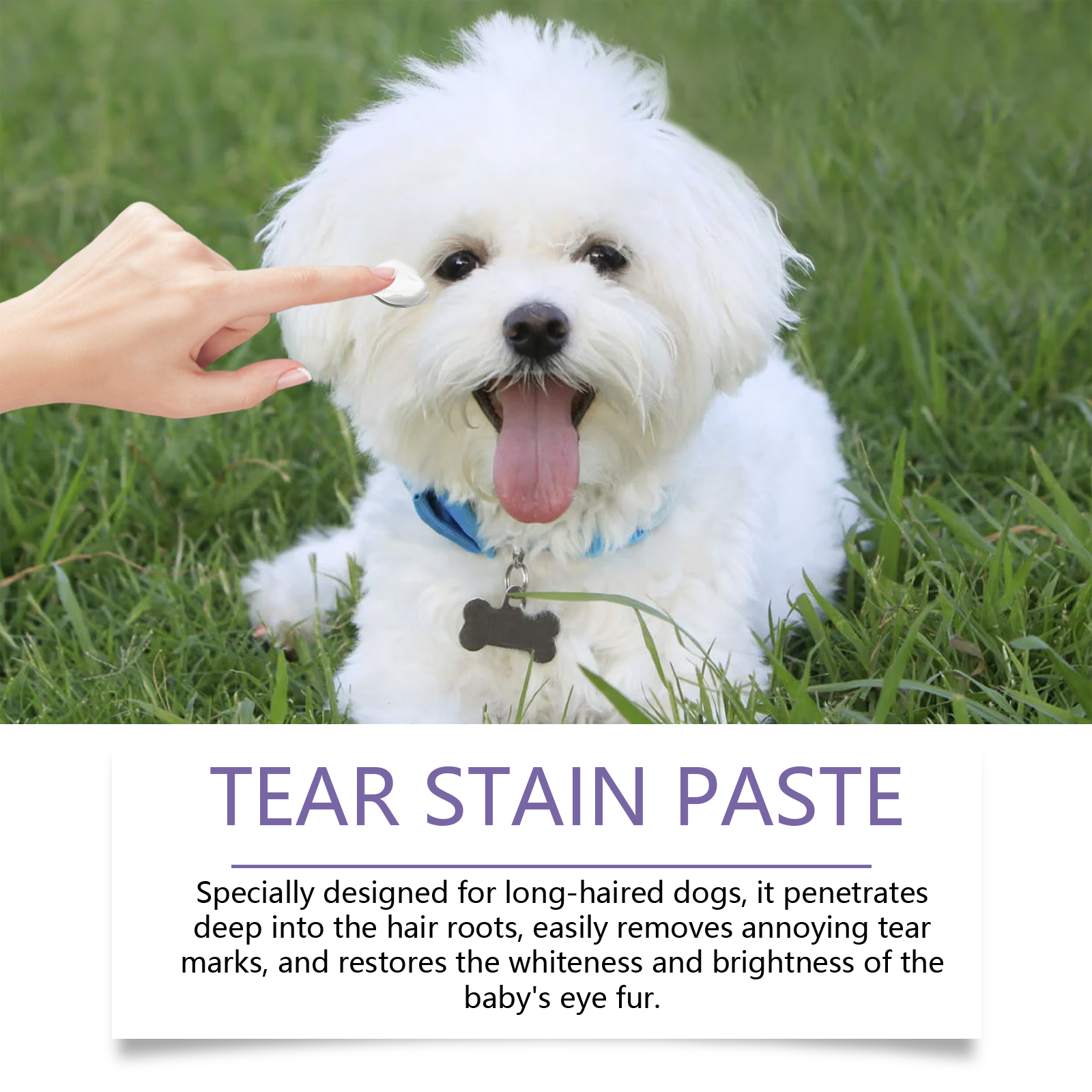 Yegbong Tear Stain Wipes 60pcs Tear Stain Removal Support for Dogs and Cats - SKU00014331 - Image 4