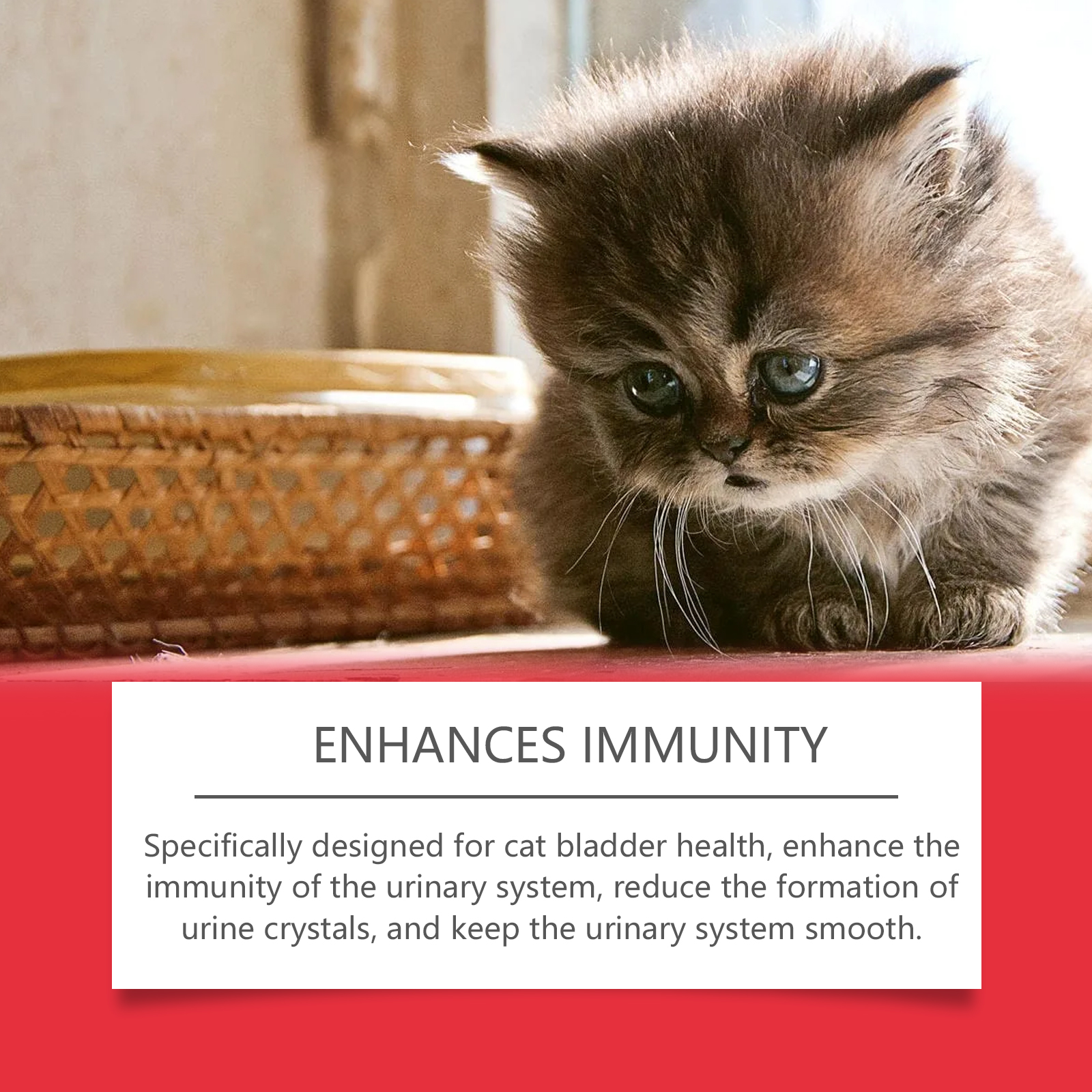 Yegbong Dietary Supplement 120ml Daily Wellness Support for Dogs and Cats - SKU00017683 - Image 4