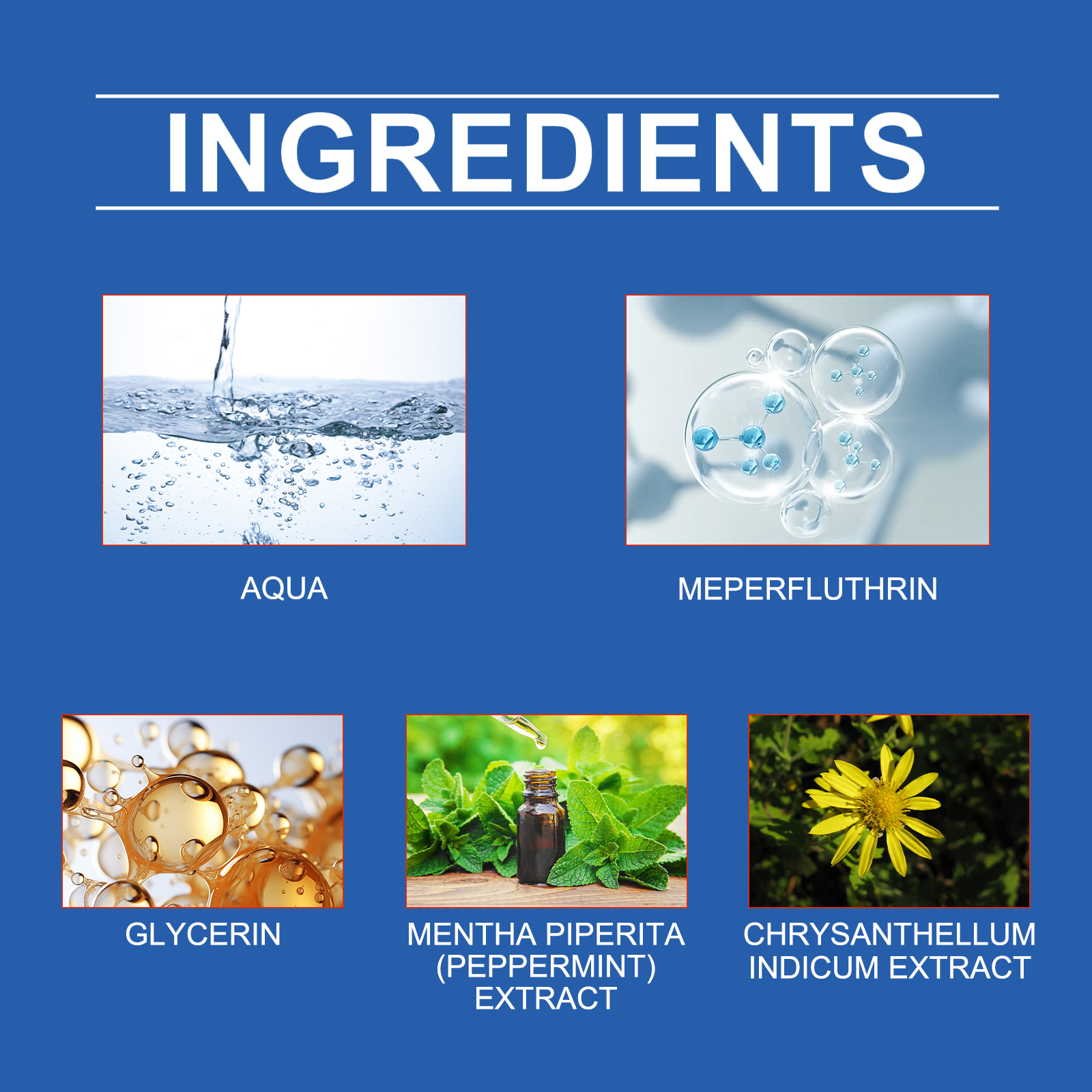 Product detail