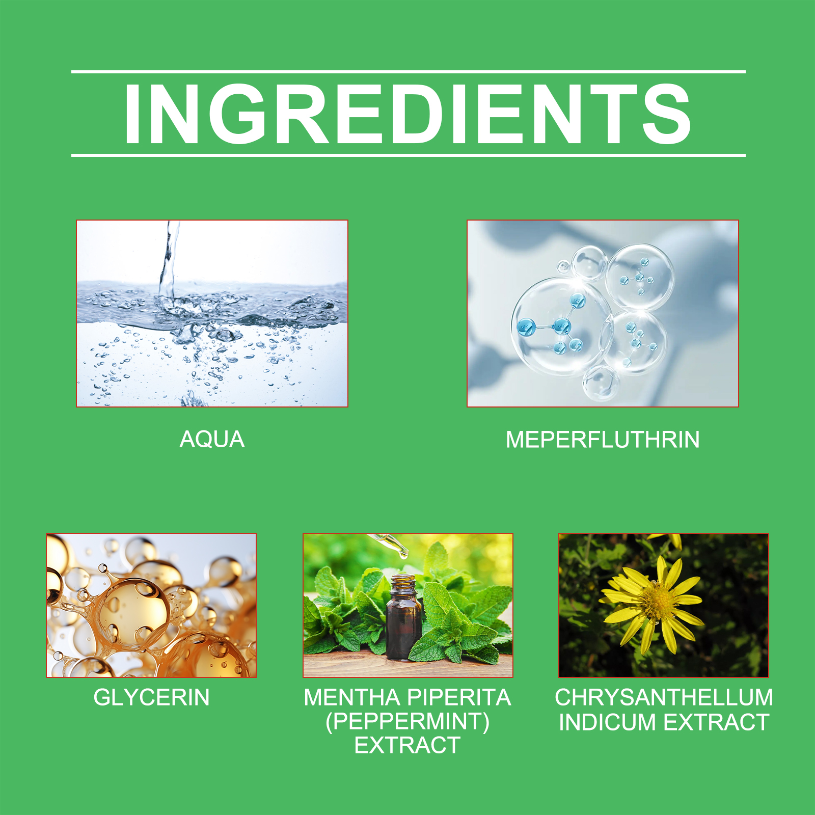 Product detail