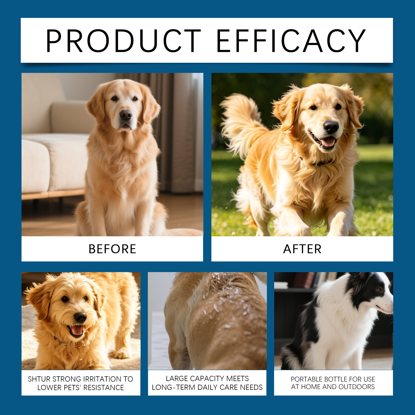 Product detail