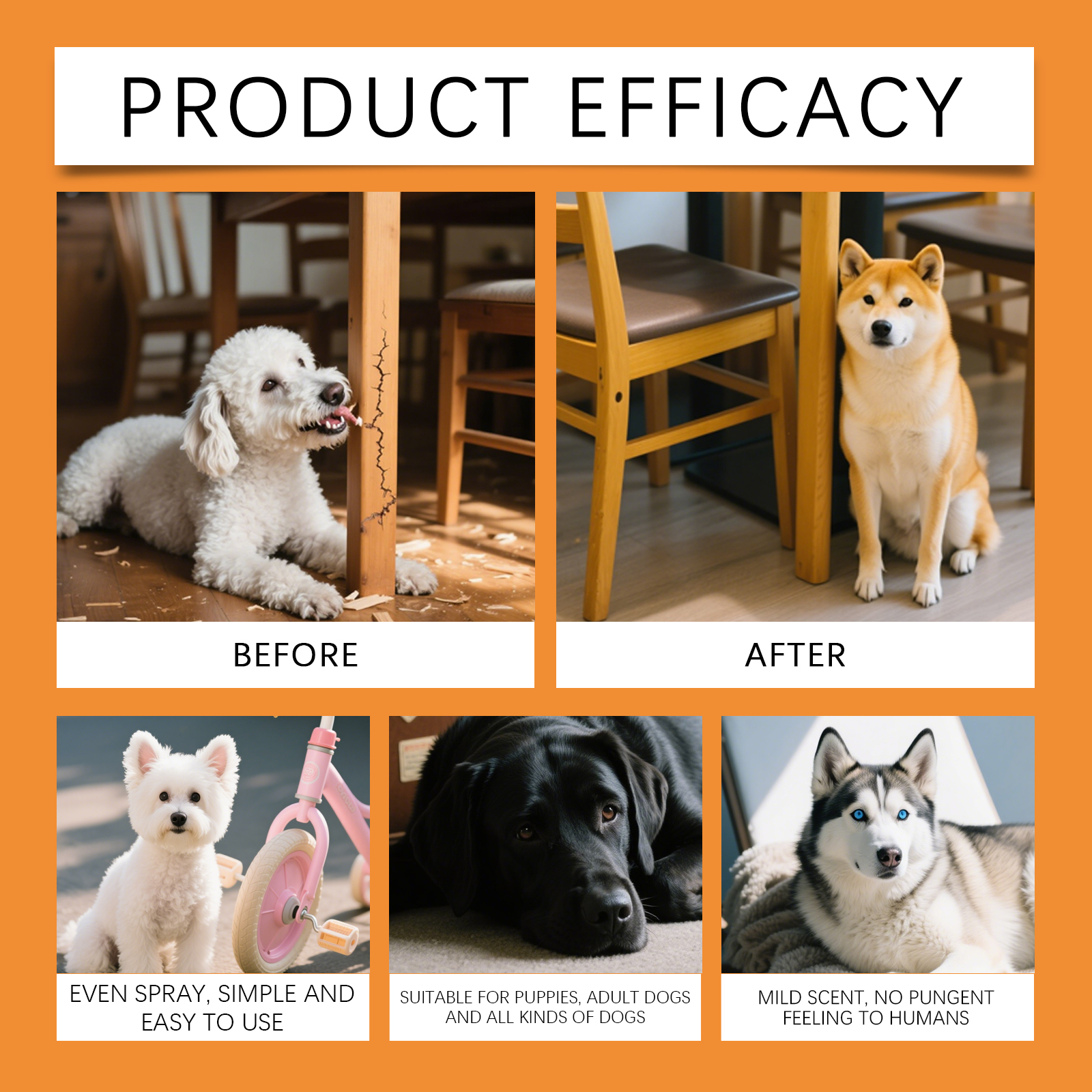 Product detail