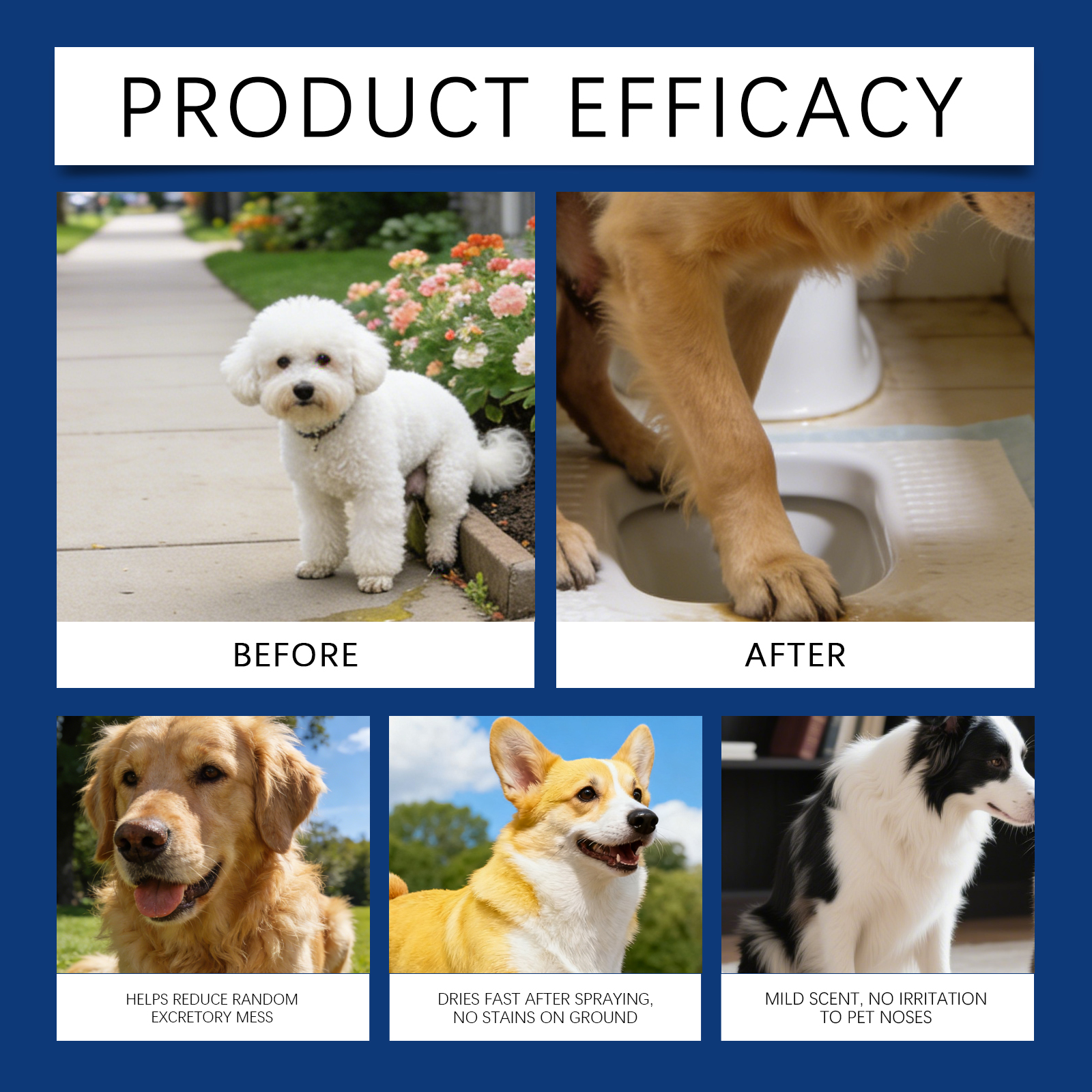 Product detail